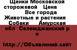 Щенки Московской сторожевой › Цена ­ 35 000 - Все города Животные и растения » Собаки   . Амурская обл.,Селемджинский р-н